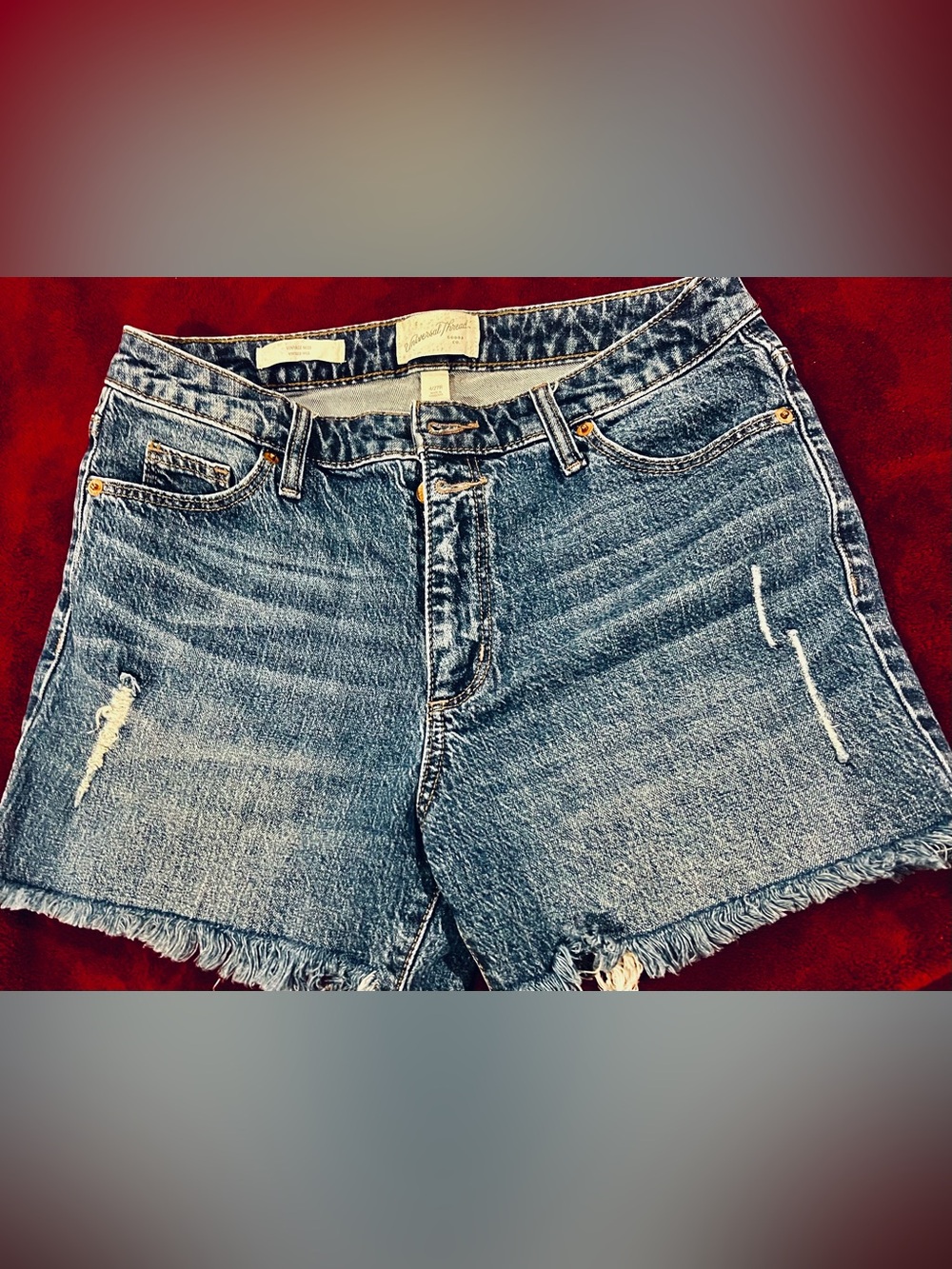 Classic Women's Denim Cutoff Shorts - Blue